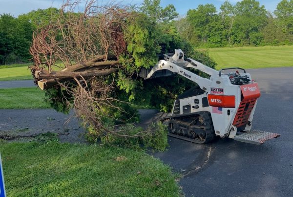 Lehigh county lawn cleanup